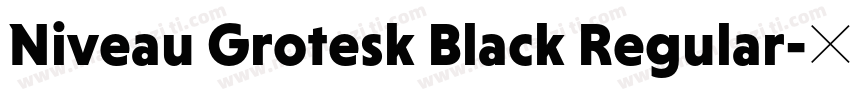 Niveau Grotesk Black Regular字体转换